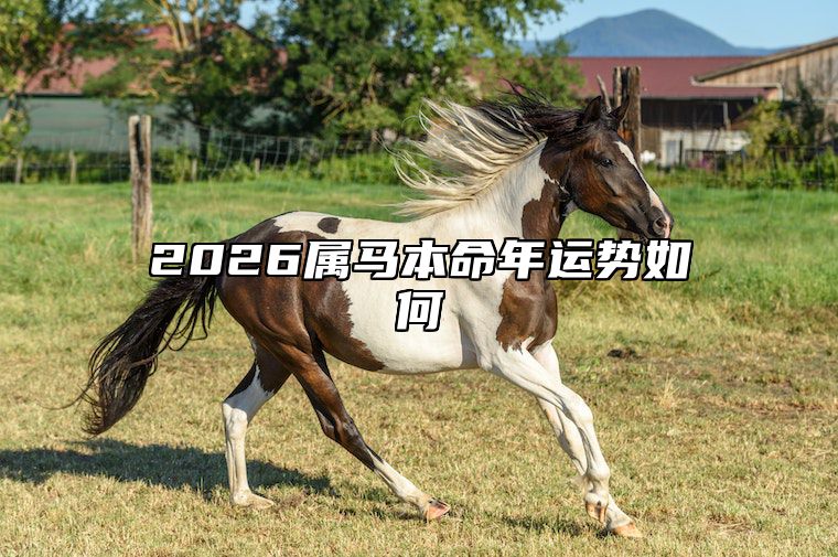 2026属马本命年运势如何 2026属马什么命运如何