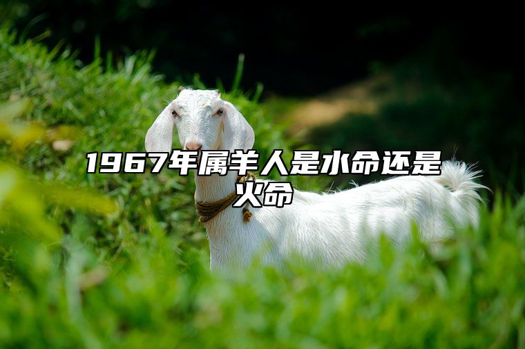 1967年属羊人是水命还是火命 1967年属羊是水命吗