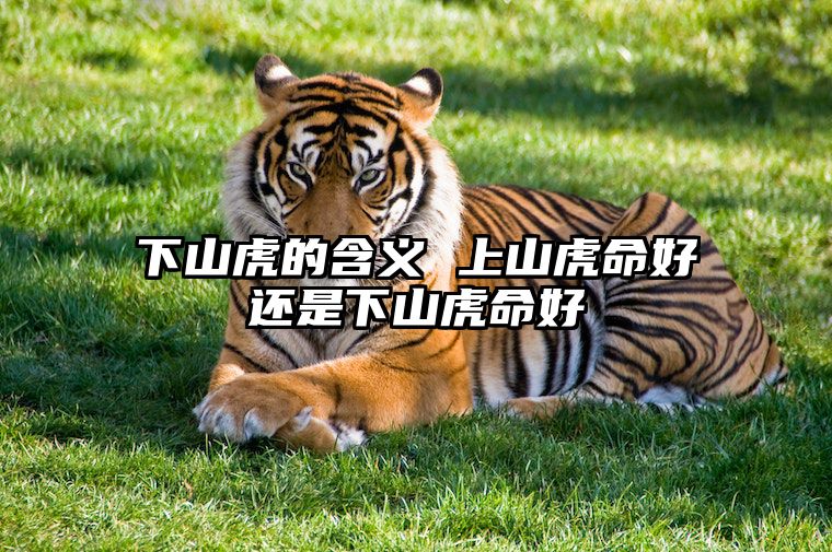 下山虎的含义 上山虎命好还是下山虎命好 下山虎上山虎什么意思