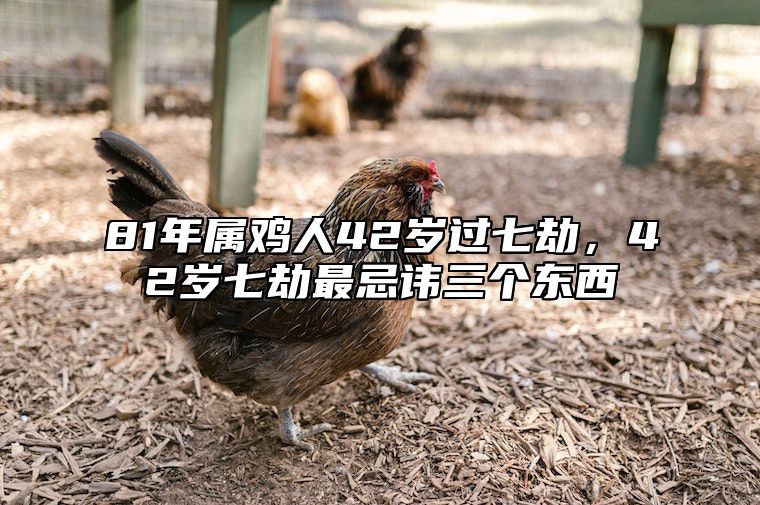 81年属鸡人42岁过七劫，42岁七劫最忌讳三个东西 81属鸡47岁有一灾