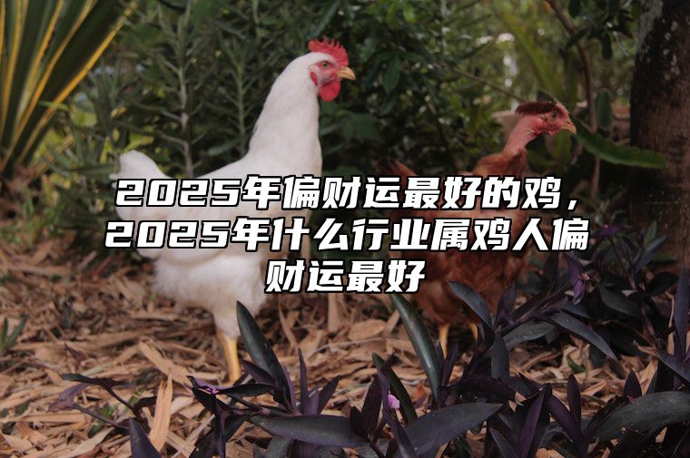 2025年偏财运最好的鸡，2025年什么行业属鸡人偏财运最好 2025年什么生肖财运好