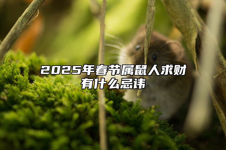 2025年春节属鼠人求财有什么忌讳