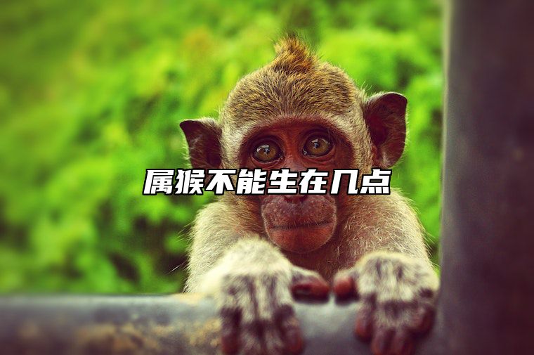 属猴不能生在几点 属猴不宜去的城市