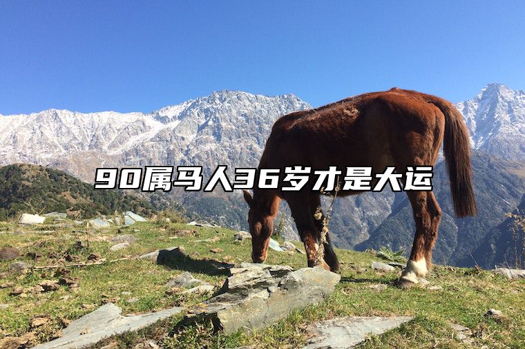 90属马人36岁才是大运 今年属马的人几岁了