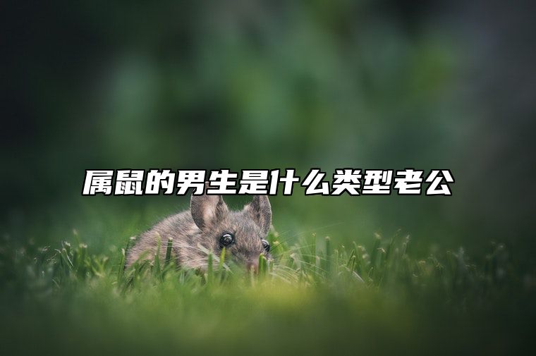 属鼠的男生是什么类型老公