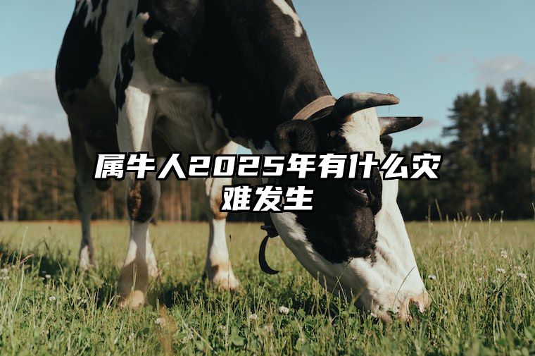 属牛人2025年有什么灾难发生