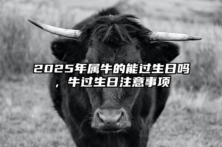 2025年属牛的能过生日吗，牛过生日注意事项 2025年生肖牛