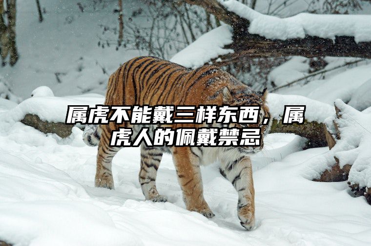 属虎不能戴三样东西，属虎人的佩戴禁忌 属虎的人适合佩戴虎吗