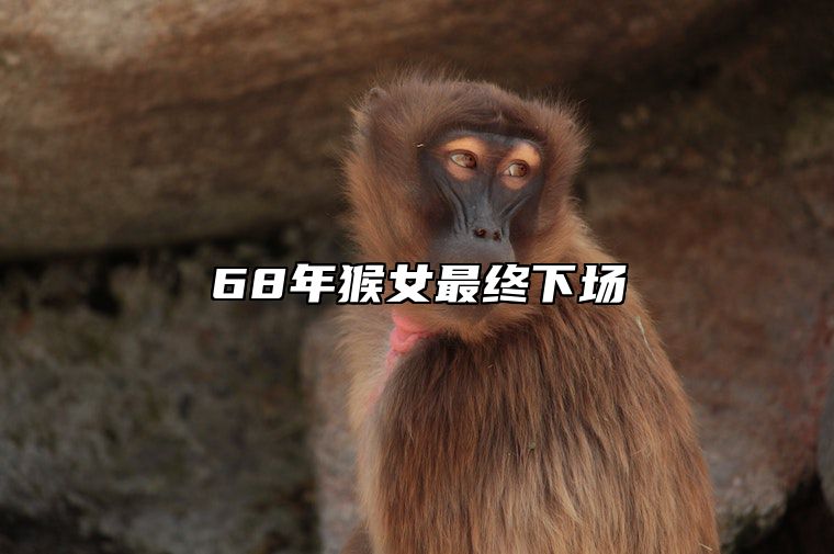 68年猴女最终下场 1968猴2025每月运程