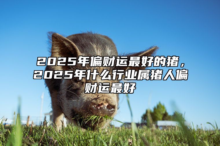 2025年偏财运最好的猪，2025年什么行业属猪人偏财运最好 2025年生肖猪运势