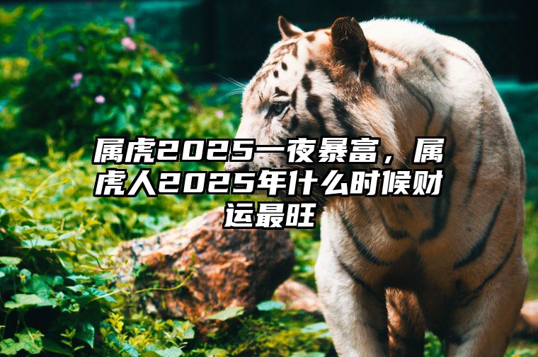 属虎2025一夜暴富，属虎人2025年什么时候财运最旺 生肖虎2025年运势及运程