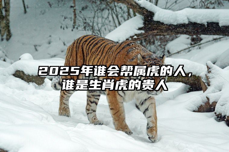 2025年谁会帮属虎的人，谁是生肖虎的贵人 生肖虎明年有大贵人