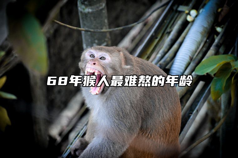 68年猴人最难熬的年龄 1968猴2025每月运程