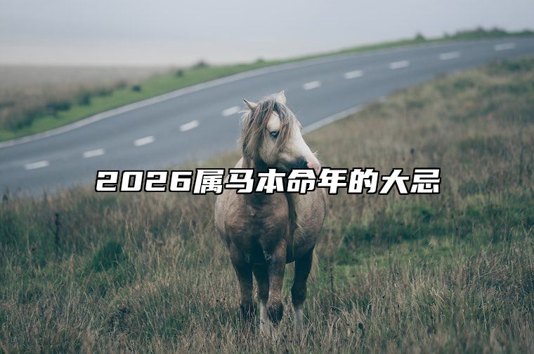 2026属马本命年的大忌 2026本命年马年佩戴什么