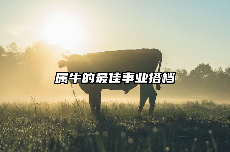 属牛的最佳事业搭档 属牛人的终身贵人
