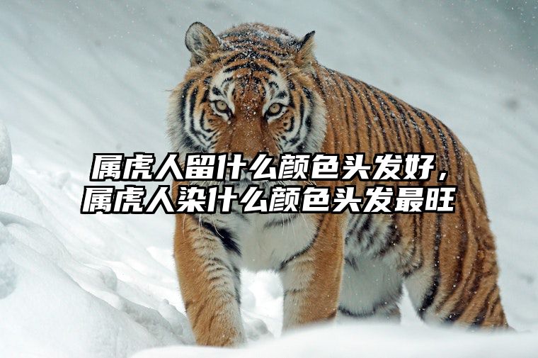 属虎人留什么颜色头发好，属虎人染什么颜色头发最旺 属虎的人适合什么颜色头发