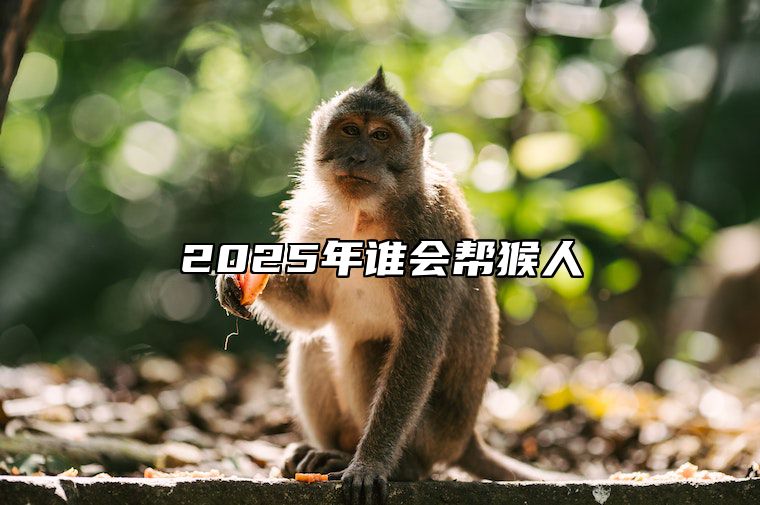 2025年谁会帮猴人 