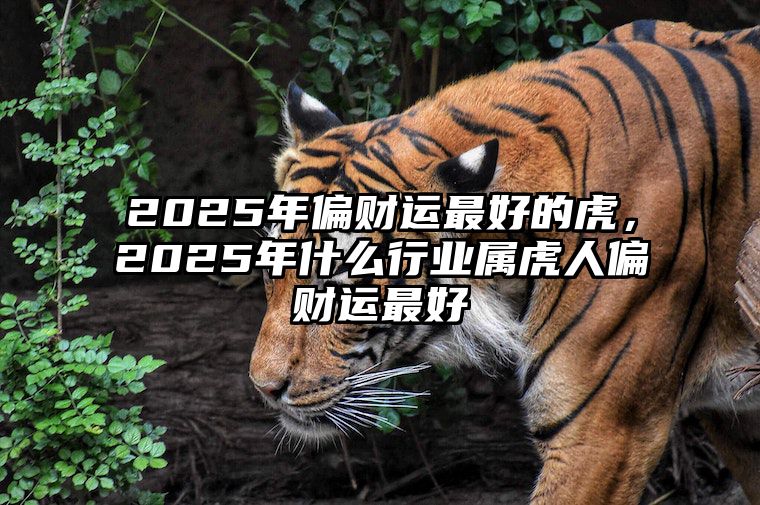 2025年偏财运最好的虎，2025年什么行业属虎人偏财运最好 2025年什么生肖财运好