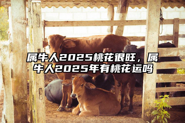 属牛人2025桃花很旺，属牛人2025年有桃花运吗 属牛的人在2025年怎么样