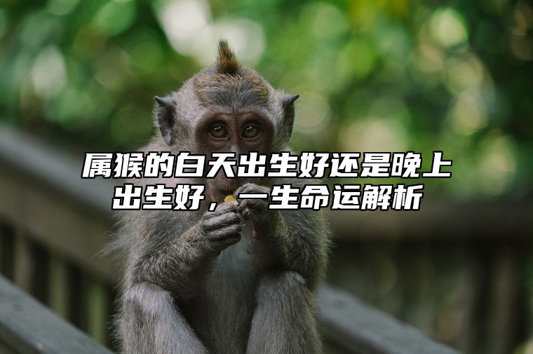 属猴的白天出生好还是晚上出生好，一生命运解析 属猴子晚上生还是白天生的比较好