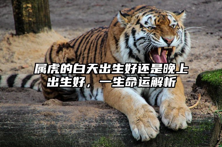 属虎的白天出生好还是晚上出生好，一生命运解析 虎生在白天好还是晚上好