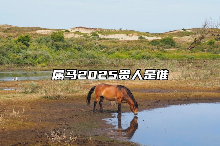 属马2025贵人是谁 属马的财运贵人是谁
