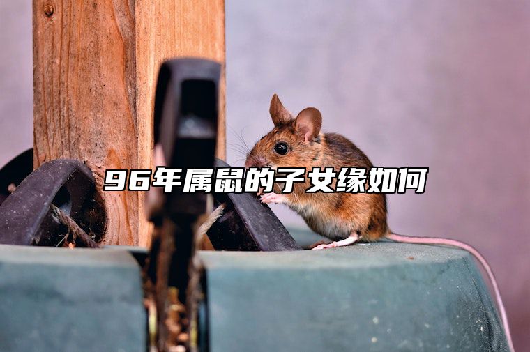 96年属鼠的子女缘如何 96年鼠适合哪年生孩子