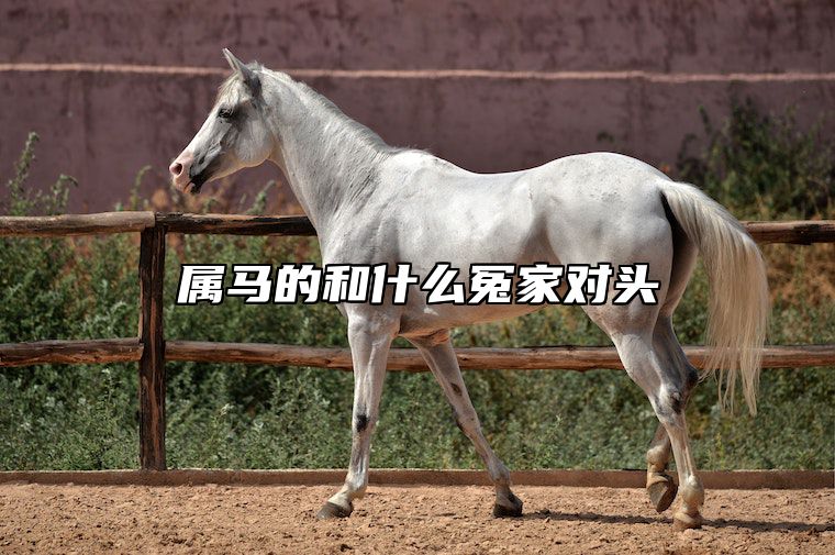 属马的和什么冤家对头 属马跟什么属相最合得来