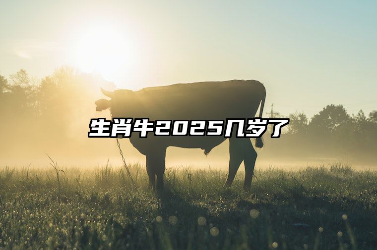 生肖牛2025几岁了 2009年属牛2025年运势完整版