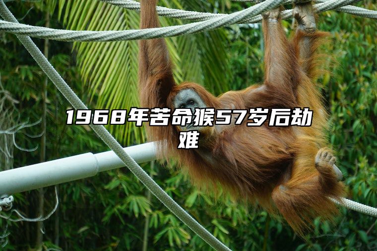 1968年苦命猴57岁后劫难 1968年苦命猴57岁后劫难生日2月13日