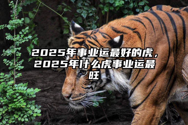 2025年事业运最好的虎，2025年什么虎事业运最旺 2025年哪些属相运势最好