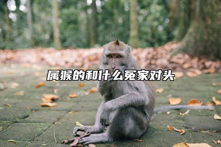 属猴的和什么冤家对头 属猴和什么冲突