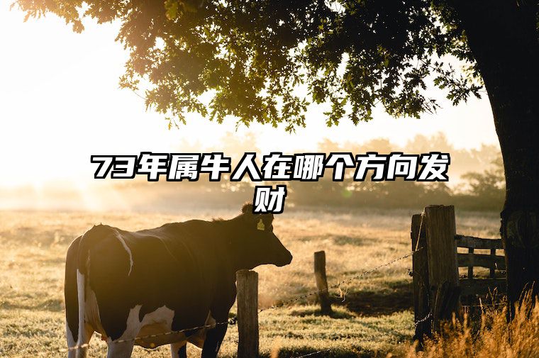 73年属牛人在哪个方向发财 73年属牛的去哪个方向发展好