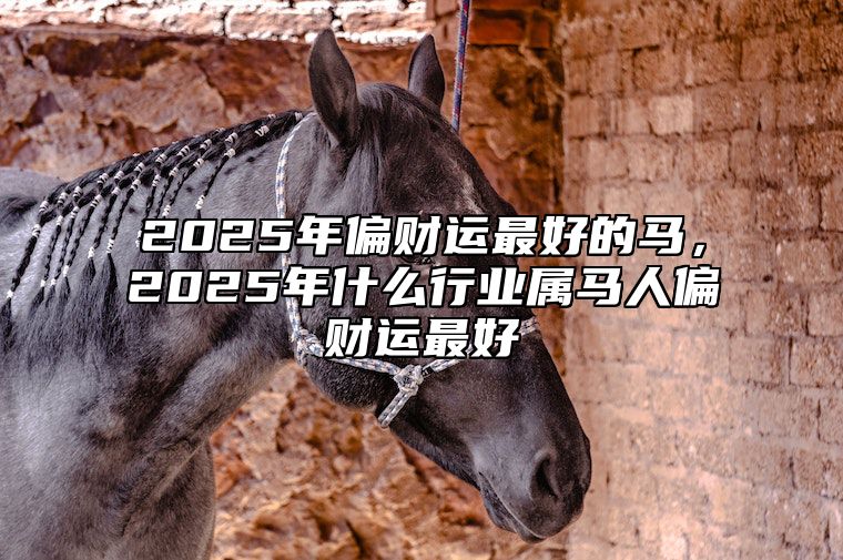 2025年偏财运最好的马，2025年什么行业属马人偏财运最好 2025年生肖马