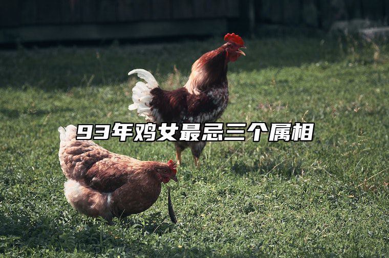 93年鸡女最忌三个属相 93年属鸡女人注定的婚姻