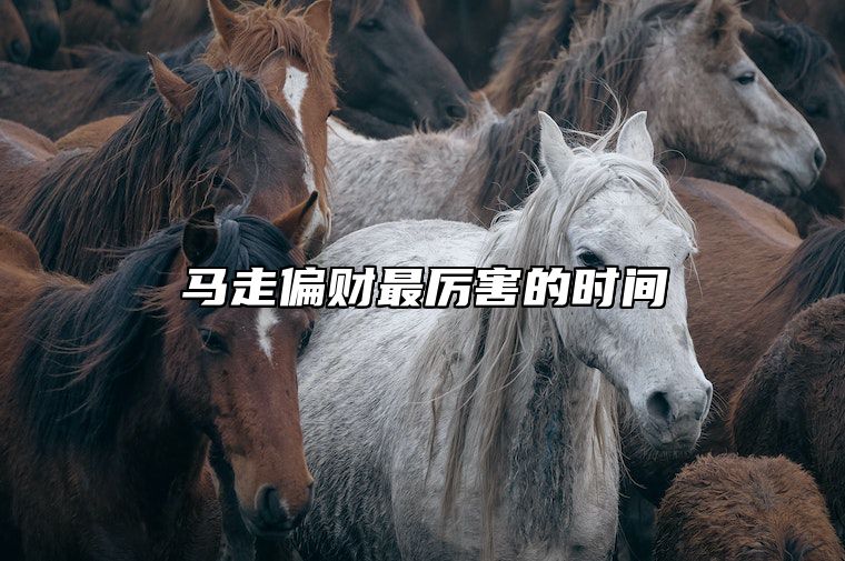 马走偏财最厉害的时间 属马人的偏财怎么样
