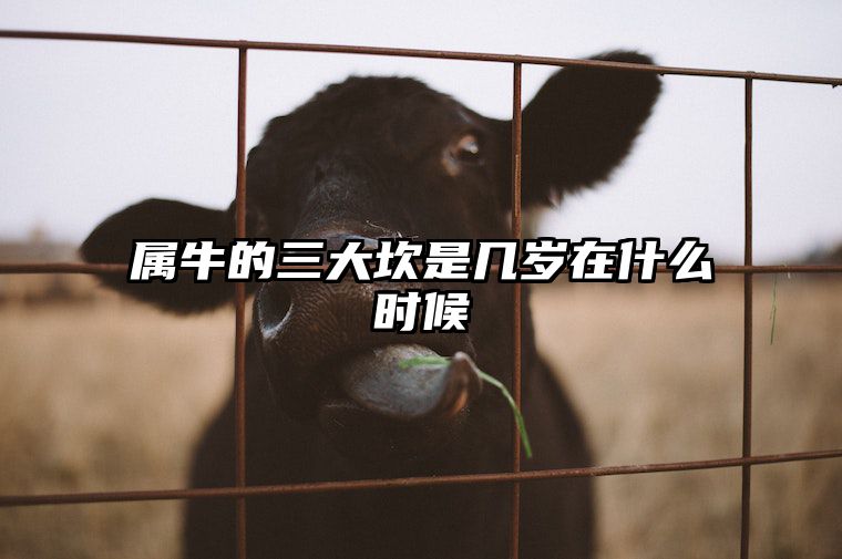 属牛的三大坎是几岁在什么时候