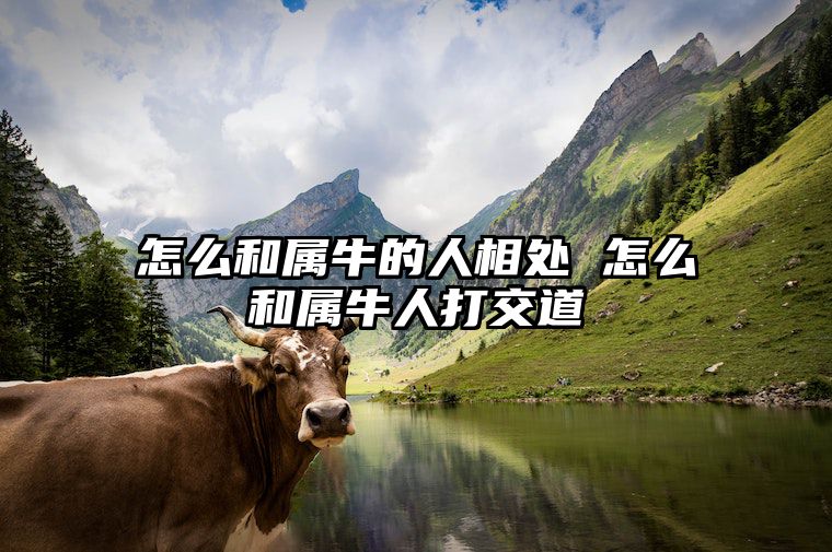怎么和属牛的人相处 怎么和属牛人打交道 如何与属牛的人进行对话