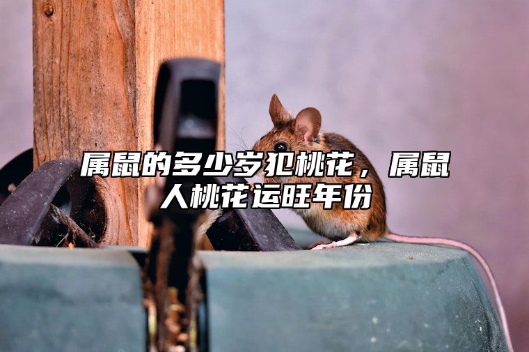 属鼠的多少岁犯桃花，属鼠人桃花运旺年份 属鼠的什么时候桃花运最好