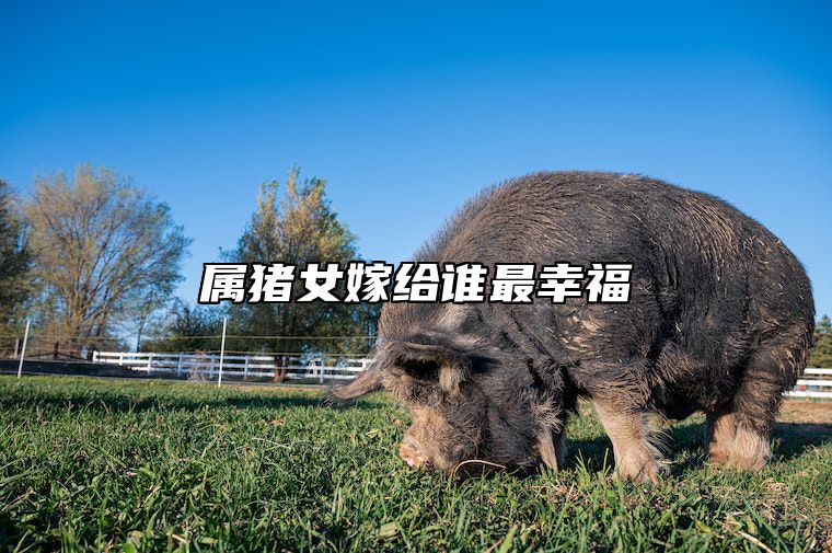 属猪女嫁给谁最幸福 猪女最忌三个属相
