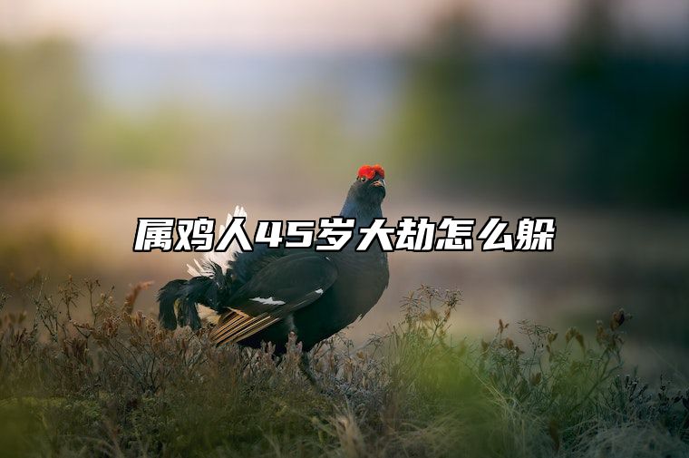 属鸡人45岁大劫怎么躲 属鸡人40岁有灾