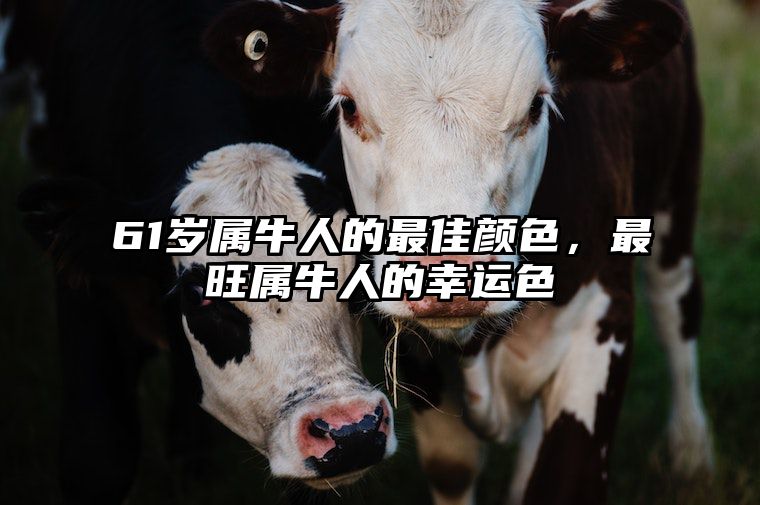 61岁属牛人的最佳颜色，最旺属牛人的幸运色 属牛人什么颜色是幸运色