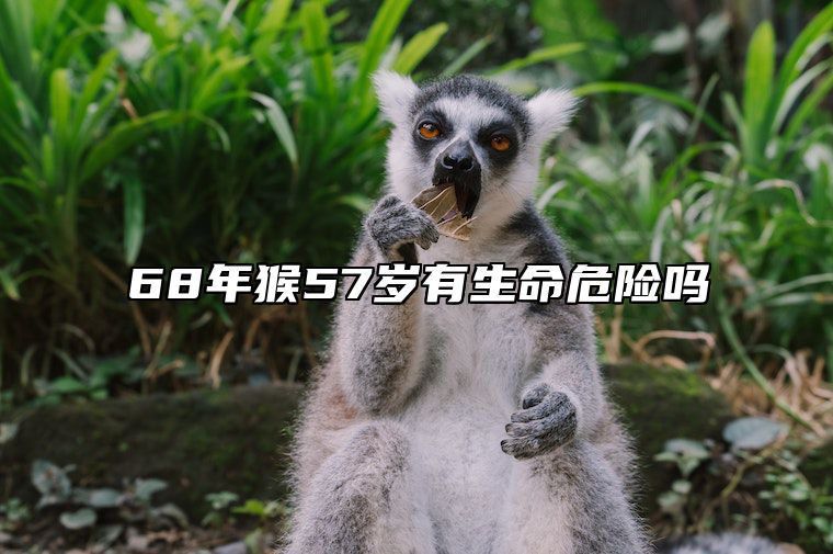 68年猴57岁有生命危险吗 68年猴一生最克3个人