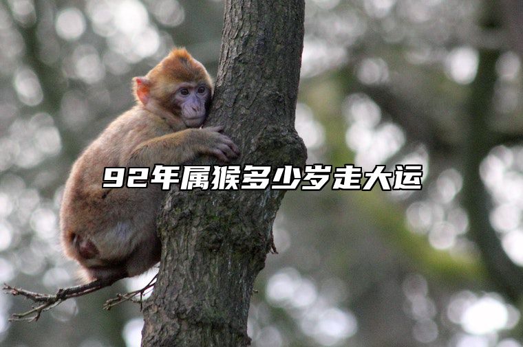 92年属猴多少岁走大运 92年猴财运最旺的几年