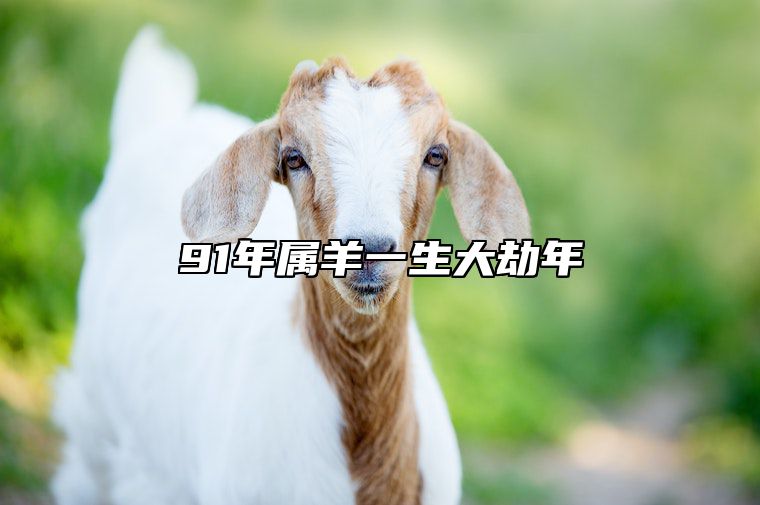 91年属羊一生大劫年 1991羊命中几个儿子
