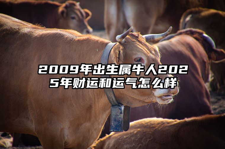 2009年出生属牛人2025年财运和运气怎么样