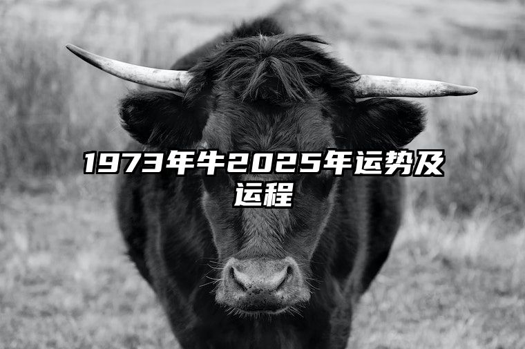 1973年牛2025年运势及运程