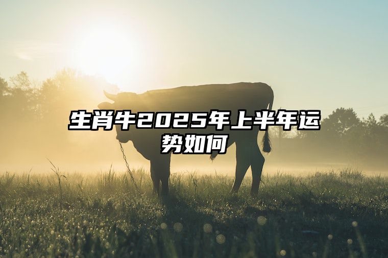 生肖牛2025年上半年运势如何
