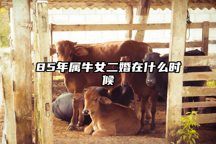 85年属牛女二婚在什么时候 85年属牛人一生有几段婚姻
