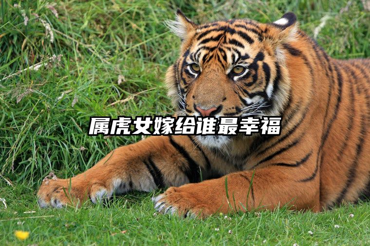 属虎女嫁给谁最幸福 属虎的女人嫁给什么样的男人会幸福
